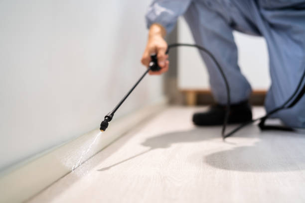 Professional exterminator conducting IPM assessment in Blackstone
