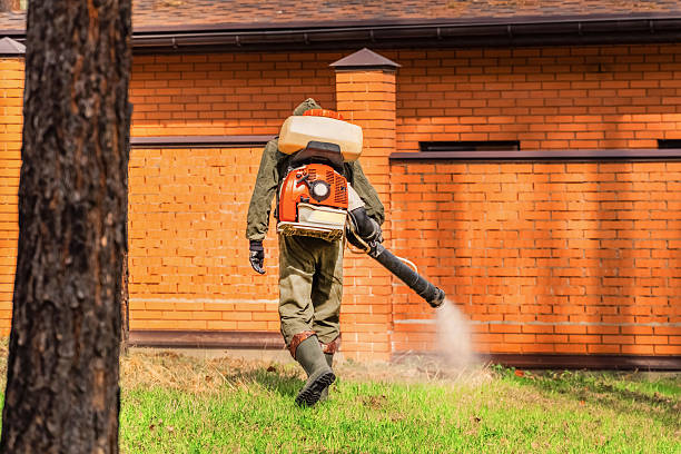 Top rated local Wasp Removal specialists in Blackstone, VA